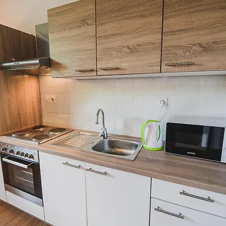 Mojcin Pisker House Holiday home Kranj