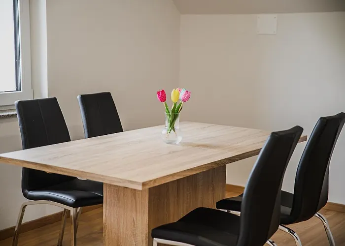 Prázdninový dům Mojcin Pisker House Kranj