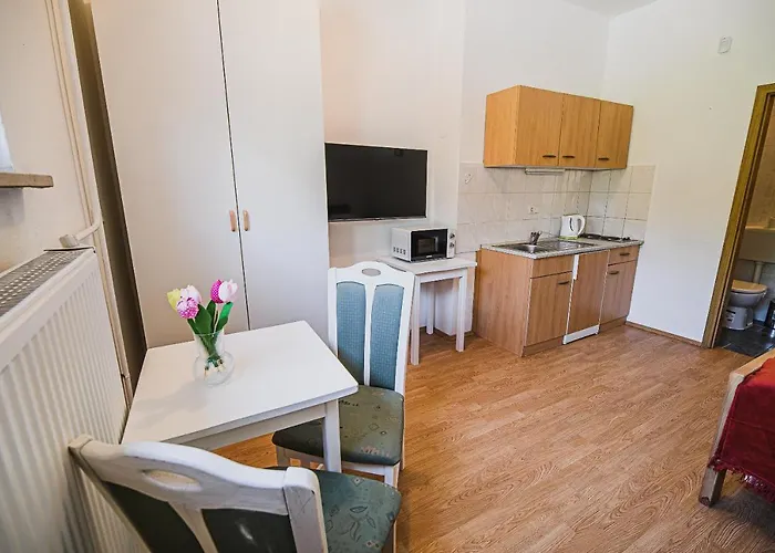 Prázdninový dům Mojcin Pisker House Kranj